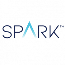 Элайнеры Spark